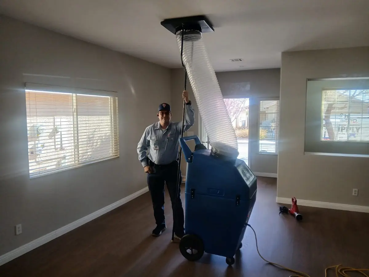 Professional Dryer Vent Cleaning work inside a Black Jack home